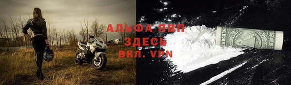 СК Зерноград