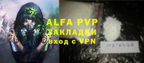 СК Зерноград