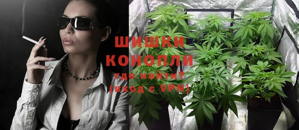 СК Зерноград