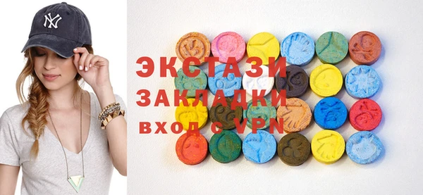 spice Инта