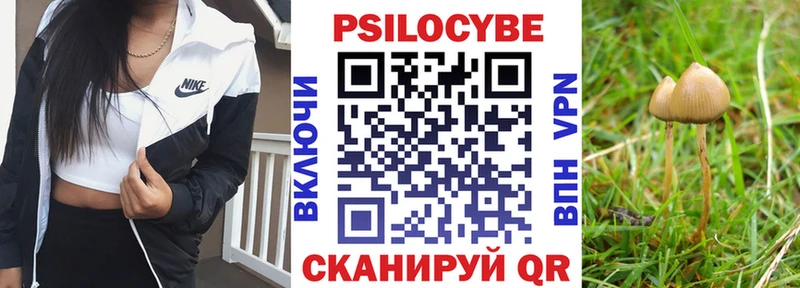 Купить где  Полярные Зори  Галлюциногенные грибы Magic Shrooms 